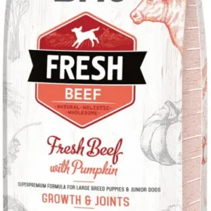 Nejprodávanější Brit Dog Fresh Beef & Pumpkin Puppy Large 12kg