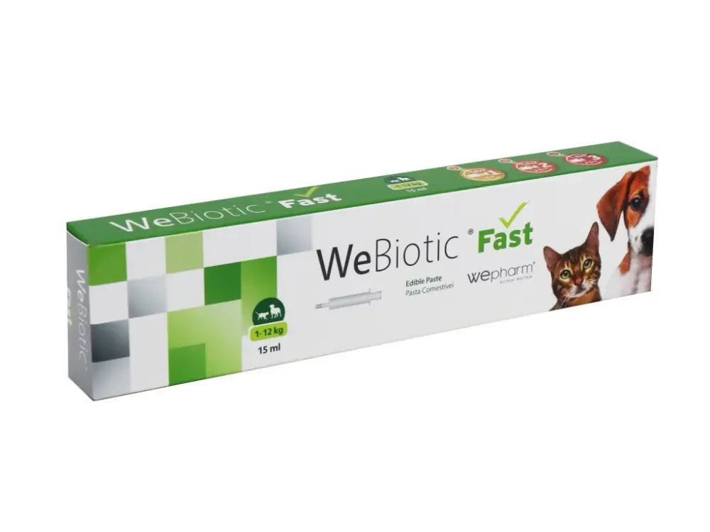 Finální Výprodej WeBiotic Fast pasta 15ml